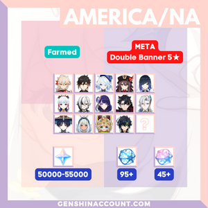 America Genshin Impact Primogems Reroll META Double Characters Farmed Starter Account